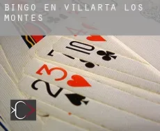 Bingo en  Villarta de los Montes