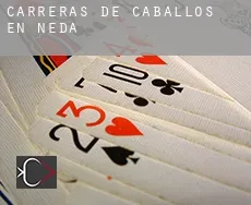 Carreras de caballos en Neda