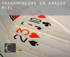Tragamonedas en Arauzo de Miel