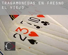 Tragamonedas en  Fresno El Viejo