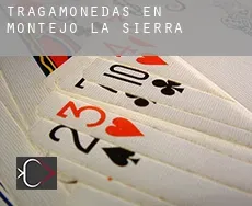 Tragamonedas en  Montejo de la Sierra