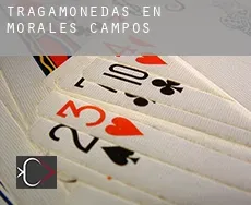 Tragamonedas en  Morales de Campos