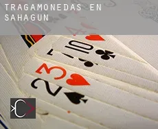 Tragamonedas en  Sahagún