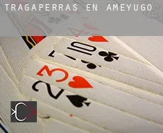 Tragaperras en  Ameyugo