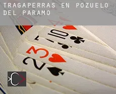 Tragaperras en  Pozuelo del Páramo
