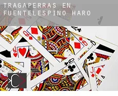 Tragaperras en  Fuentelespino de Haro