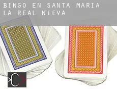 Bingo en Santa María la Real de Nieva
