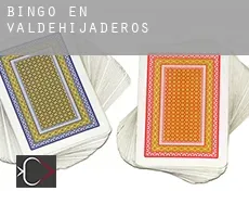Bingo en Valdehijaderos
