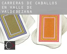 Carreras de caballos en Valle de Valdebezana