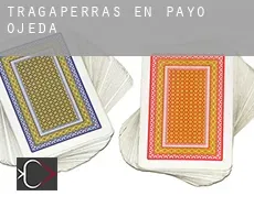 Tragaperras en Payo de Ojeda