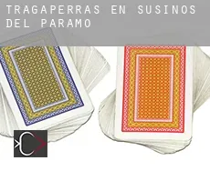 Tragaperras en Susinos del Páramo