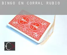 Bingo en  Corral-Rubio