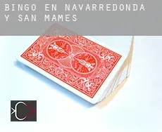 Bingo en  Navarredonda y San Mamés