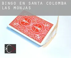 Bingo en Santa Colomba de las Monjas