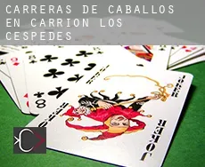 Carreras de caballos en  Carrión de los Céspedes