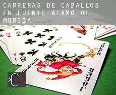 Carreras de caballos en  Fuente Álamo de Murcia