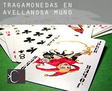 Tragamonedas en Avellanosa de Muñó