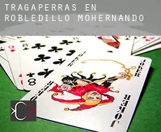 Tragaperras en  Robledillo de Mohernando