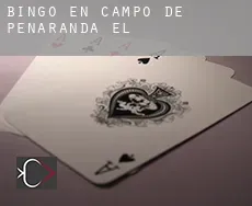 Bingo en  Campo de Peñaranda (El)