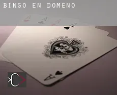 Bingo en  Domeño