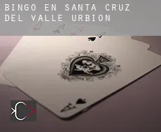 Bingo en Santa Cruz del Valle Urbión