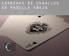 Carreras de caballos en Padilla de Abajo