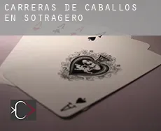 Carreras de caballos en  Sotragero