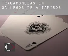 Tragamonedas en  Gallegos de Altamiros
