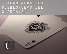 Tragamonedas en  Pueblonuevo del Guadiana