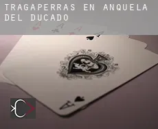 Tragaperras en  Anquela del Ducado