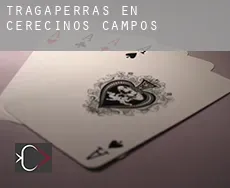 Tragaperras en Cerecinos de Campos