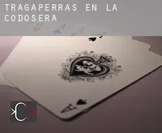 Tragaperras en La Codosera
