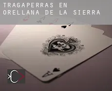 Tragaperras en  Orellana de la Sierra