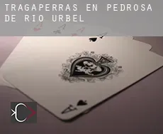 Tragaperras en  Pedrosa de Río Úrbel