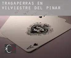 Tragaperras en  Vilviestre del Pinar