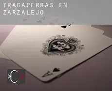 Tragaperras en  Zarzalejo