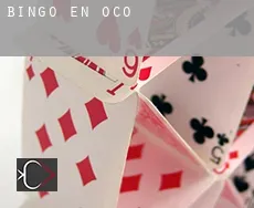 Bingo en  Oco