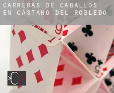 Carreras de caballos en Castaño del Robledo