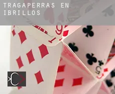 Tragaperras en  Ibrillos
