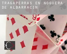 Tragaperras en Noguera de Albarracín