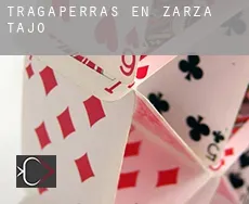 Tragaperras en  Zarza de Tajo