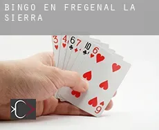 Bingo en  Fregenal de la Sierra