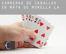 Carreras de caballos en  Mata de Morella (la)