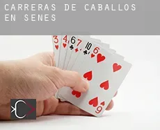 Carreras de caballos en  Senés