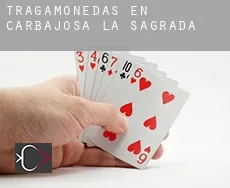 Tragamonedas en  Carbajosa de la Sagrada