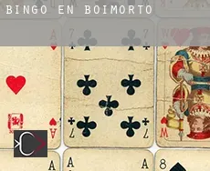 Bingo en  Boimorto