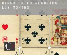 Bingo en  Fuenlabrada de los Montes