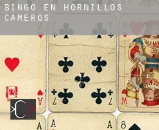 Bingo en  Hornillos de Cameros