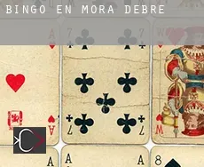 Bingo en  Móra d'Ebre