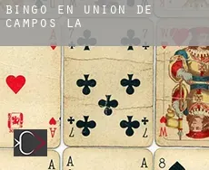 Bingo en  Unión de Campos (La)